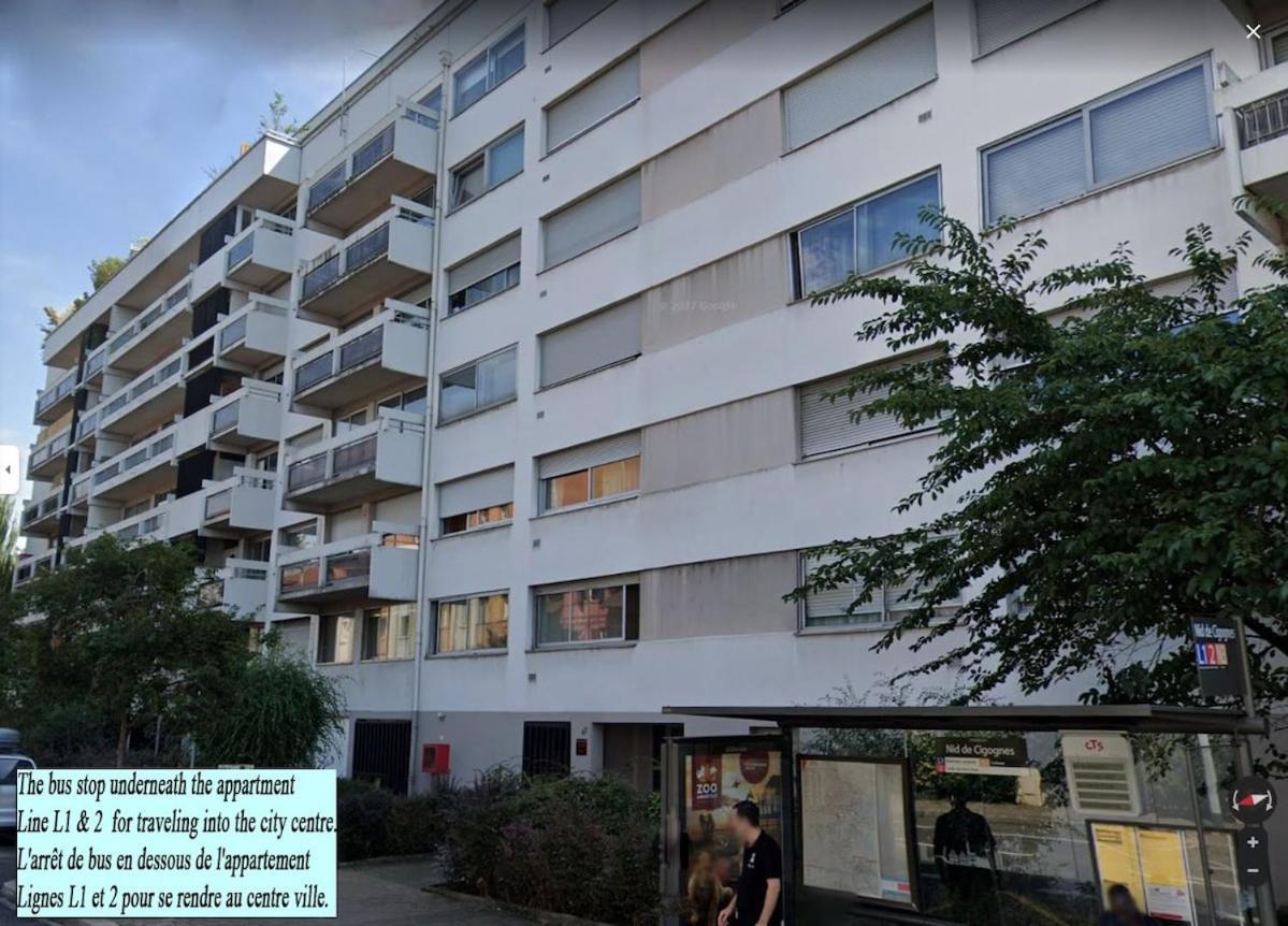 Vue Degagee, Cuisine Moderne Et Wifi Strasbourg